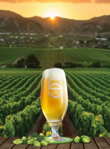 bia thủ công ngũ hành local craft beer
