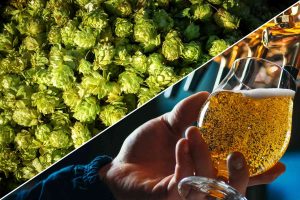 bia thủ công đà nẵng